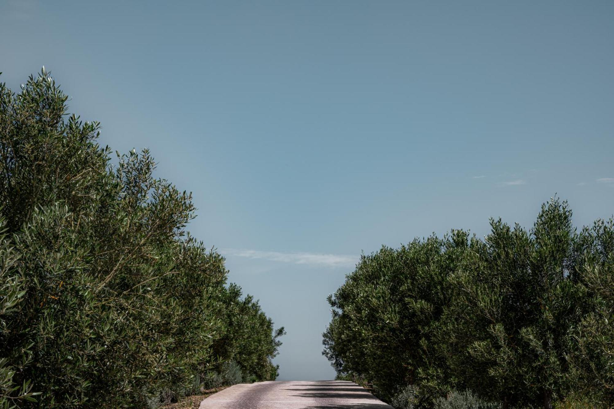 La Fiermontina Ocean Ξενοδοχείο Λαράς Εξωτερικό φωτογραφία